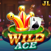 Wild Ace Play Time slot
